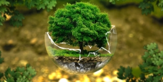 PNUE (Programme des Nations Unies pour l’Environnement)